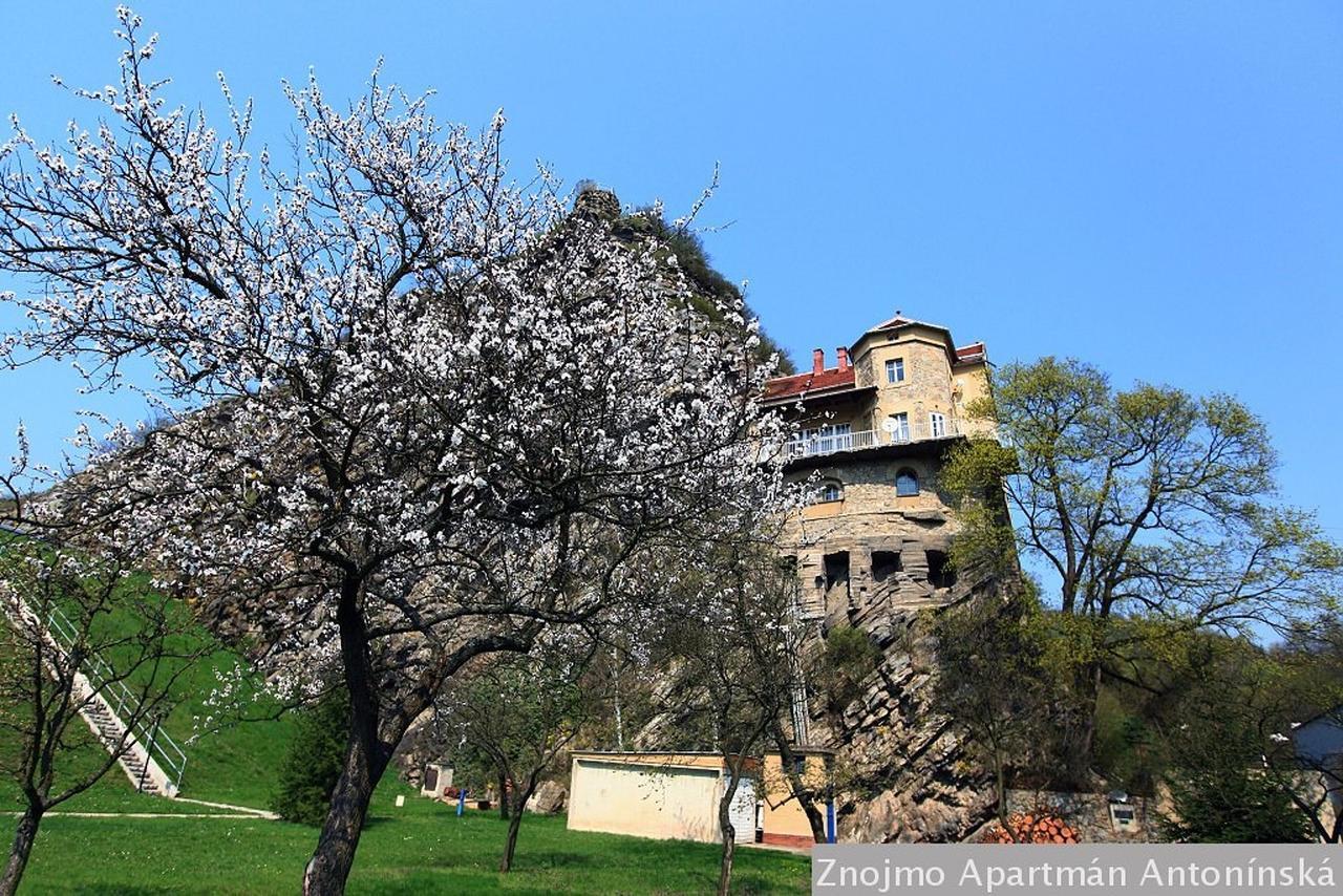 Apartman Antoninska Znojmo Exteriör bild